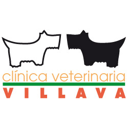 clínica veterinaria villava
