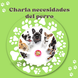 Charla Necesidades del Perro