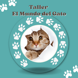 Taller El Mundo del Gato